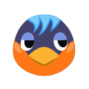 Robin