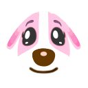 Cookie