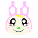 Chrissy